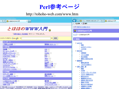 /D2MatE/Programming/20-04-Language-perl/01-small.png